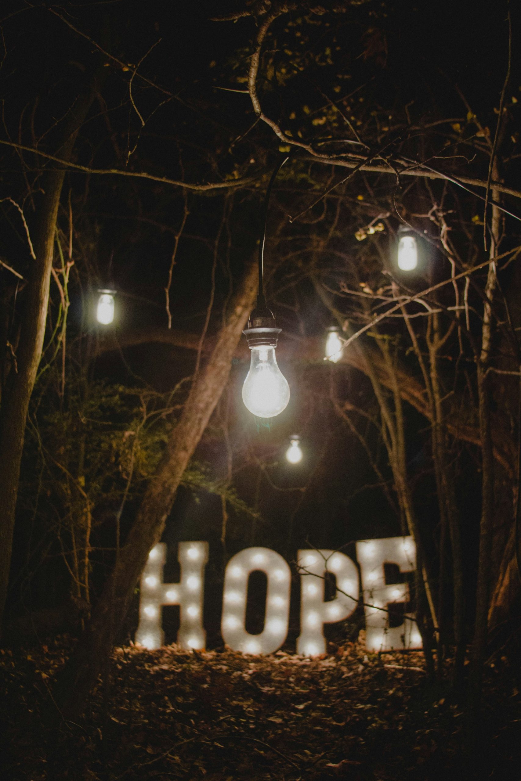 Hello World Featured Image